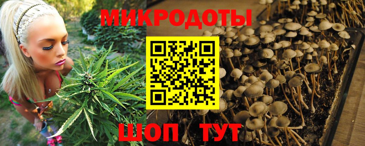 Псилоцибиновые грибы прущие грибы  Псилоцибиновые грибы Psilocybine cubensis  Вход с VPN  Валуйки 